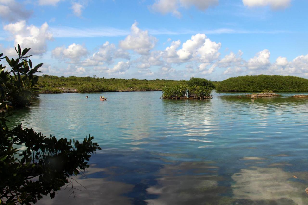 Beautiful & Cozy Studio In Akumal Paradise-Wifi, Ac Exterior photo