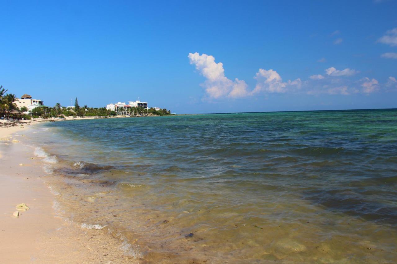 Beautiful & Cozy Studio In Akumal Paradise-Wifi, Ac Exterior photo