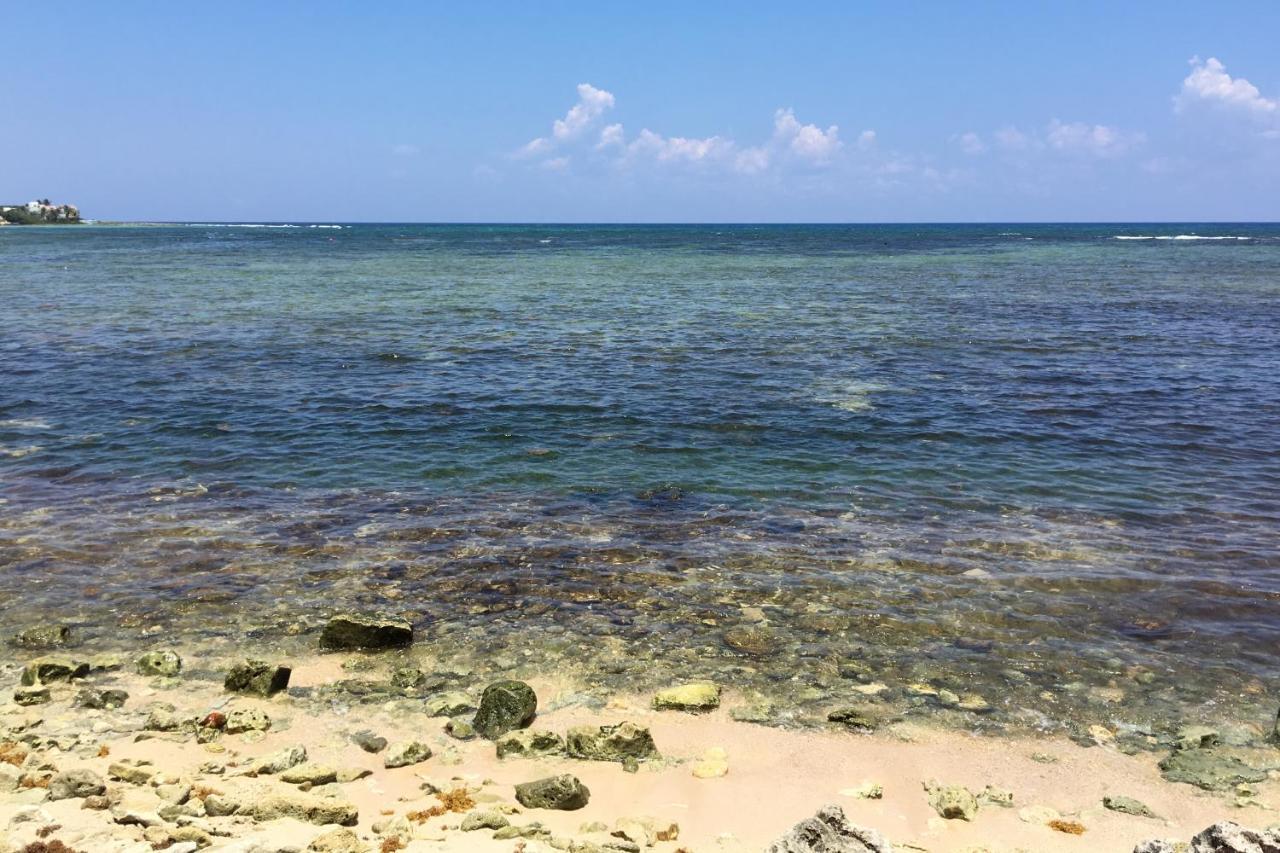 Beautiful & Cozy Studio In Akumal Paradise-Wifi, Ac Exterior photo